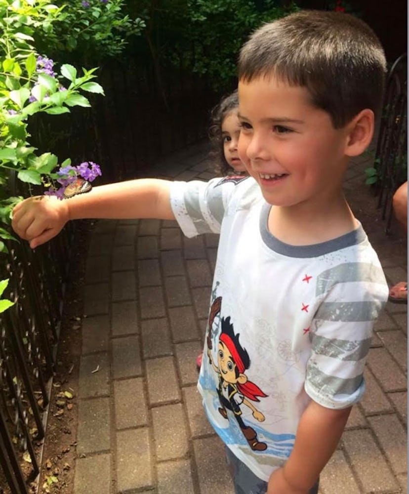 A small boy wearing a cartoon shirt, smiling and playing with a plant and his sister looking at him