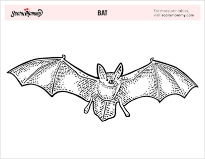 bat winged wolf coloring pages