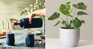 A hand pouring customized and bottled wine into matching glasses and a potted Swiss cheese plant