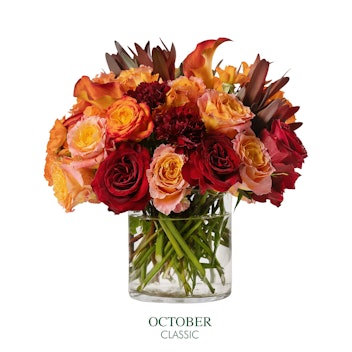 October Autumn Eclipse Bouquet + Welcome Box