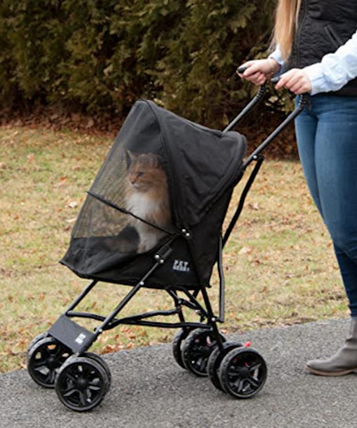 The 11 Best Cat Strollers For Transporting Your Furry BFFs