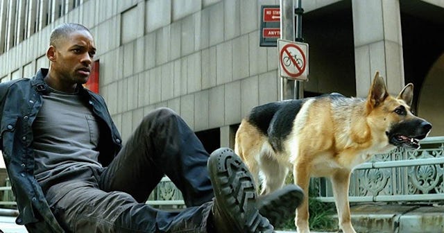 Movies Like I Am Legend