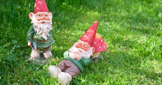 Gnome Names