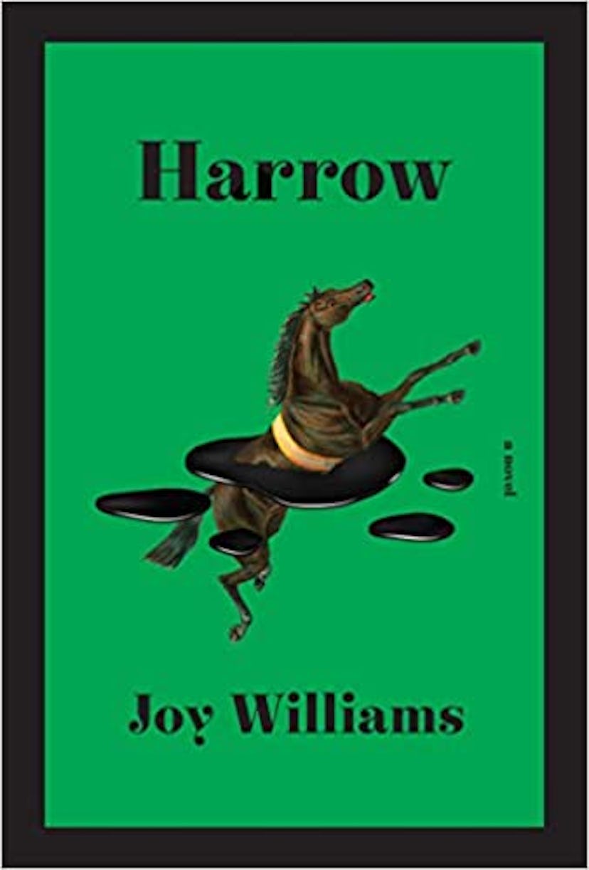 ‘Harrow’ by Joy Williams