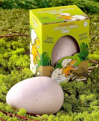 Ginormous Hatchin' Grow Dino Eggs
