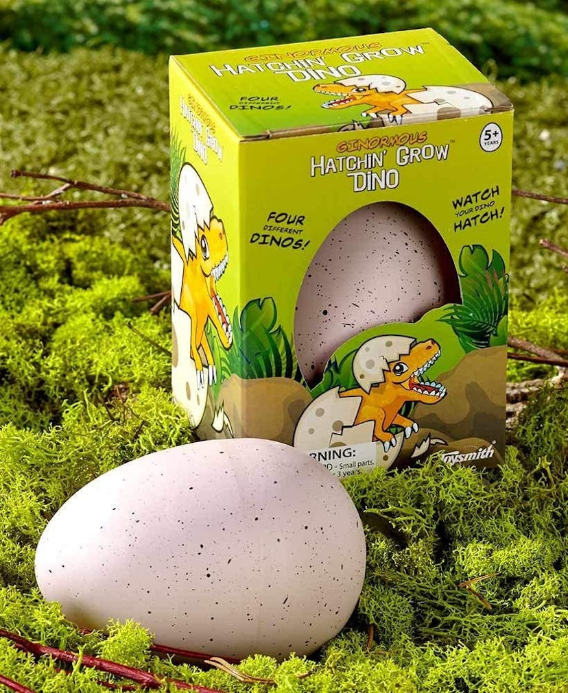 Ginormous Hatchin' Grow Dino Eggs