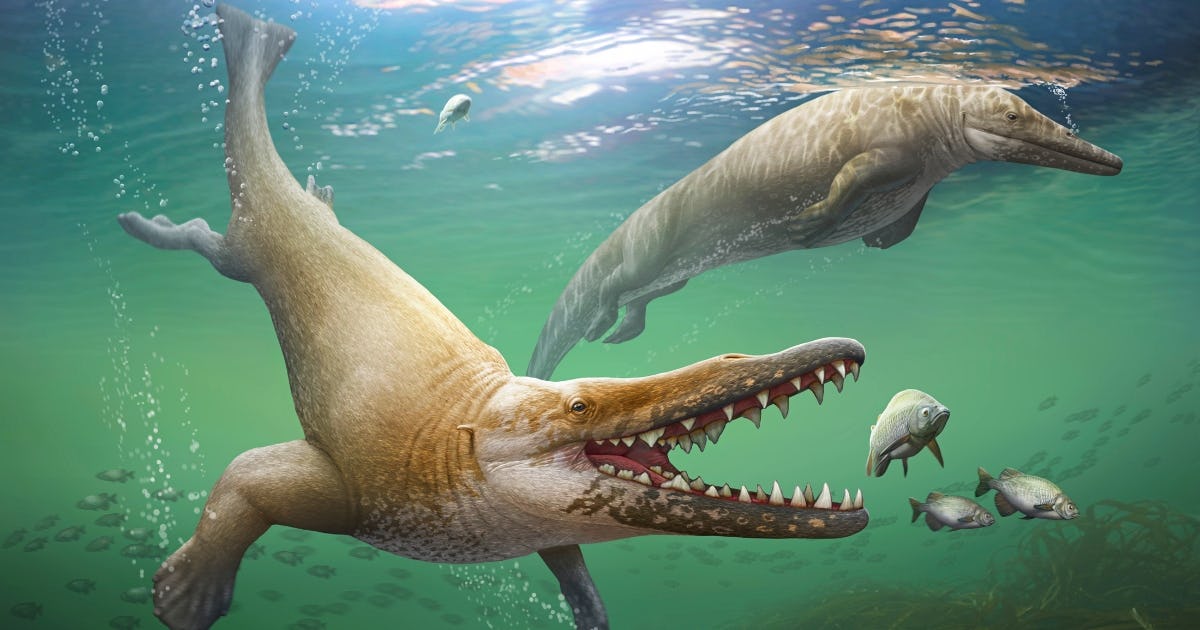 The Best 13 Water Dinosaurs Names List - aboutbasestock