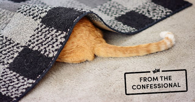 A picture of an orange cat hiding under the grey carpet. 