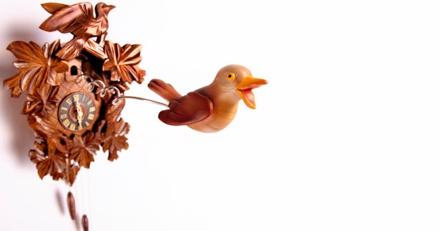 Cuckoo clock — time jokes and puns.