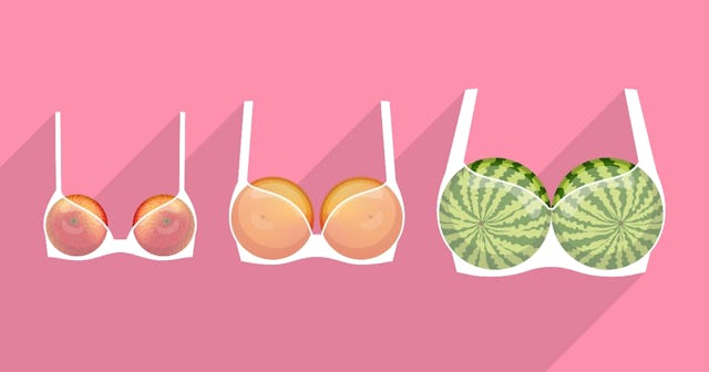 Fruit in different bra sizes — bra size calculator.