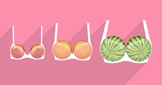 Fruit in different bra sizes — bra size calculator.
