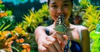 Woman with butterfly on finger — butterfly quotes