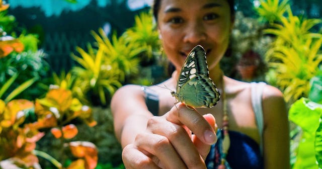 Woman with butterfly on finger — butterfly quotes