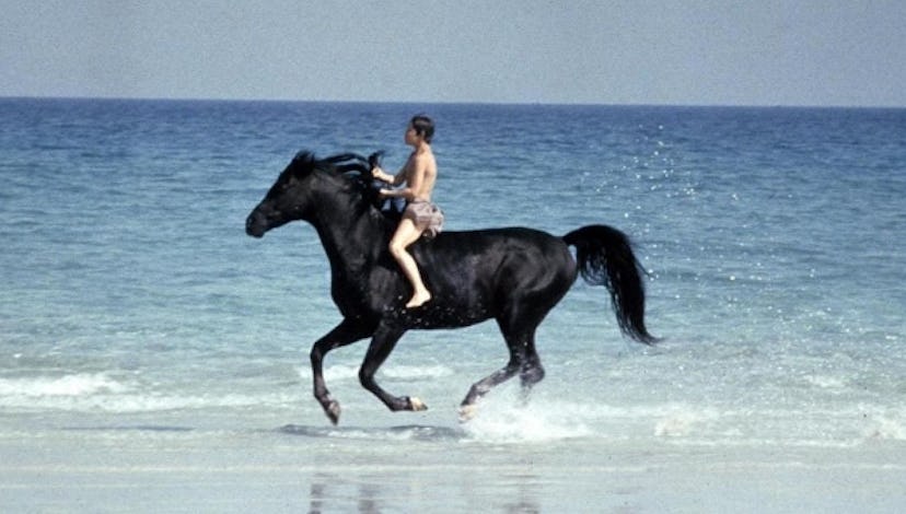 Scene from 'The Black Stallion' (1979)