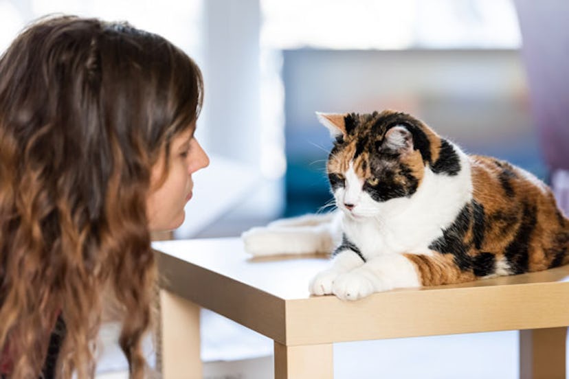 A curly-haired brunette woman talking to her cat