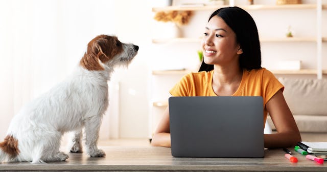 A woman smiling and talking to her dog with a laptop in front of her