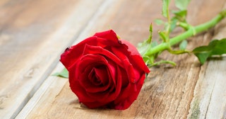 A red rose placed on a wooden table symbolizing 'The Bachelor'