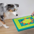 best games for dogs