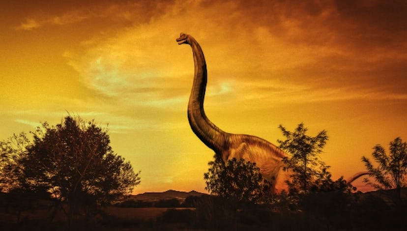 Sauropod — long-necked animals