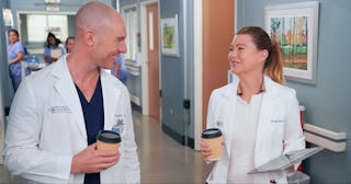 Richard Flood and Ellen Pompeo are both expected to reprise their roles in Grey's Anatomy Season 19.