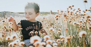 Toddler boy sitting in meadow.