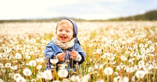 A baby sits in a field of dandelions.