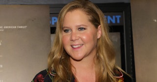 Amy Schumer difficulties of IVF treatment