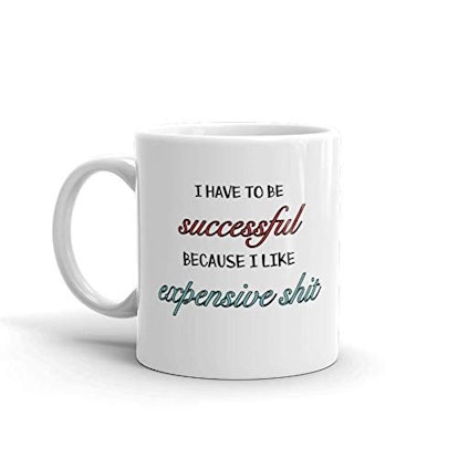 I Have To Be Successful Because I Like Expensive Shit Funny Novelty Humor 11oz White Ceramic Glass C...