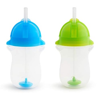 2 in 1 Baby Sippy Cup with Straw & Spout,Transition Bottle for 1 Year Old,Toddlers  Cup with Handle & Dust cover,Appropriate for Infant Older 6+ Months 