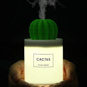 ONUEMP Cactus Humidifier