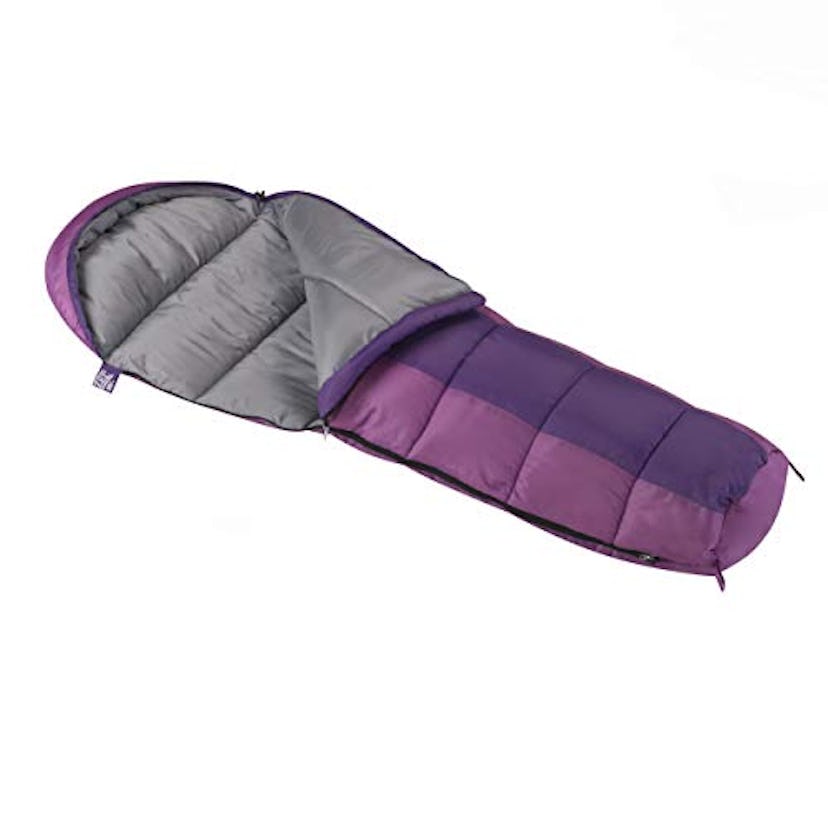 Wenzel Backyard Girls 30-Degree Sleeping Bag 