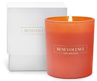 Benevolence Hibiscus and Palmwood Candle