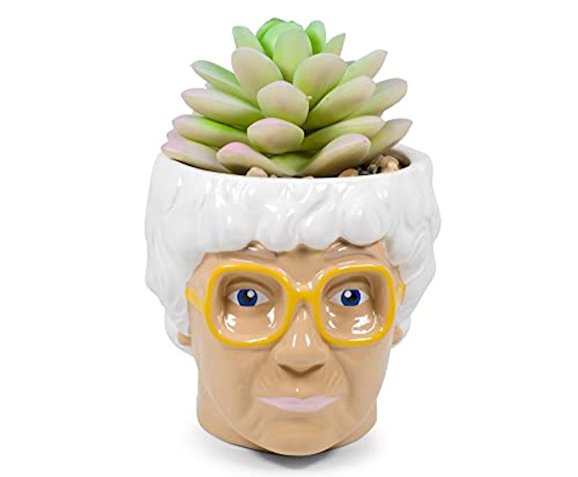 Golden Girls Planter