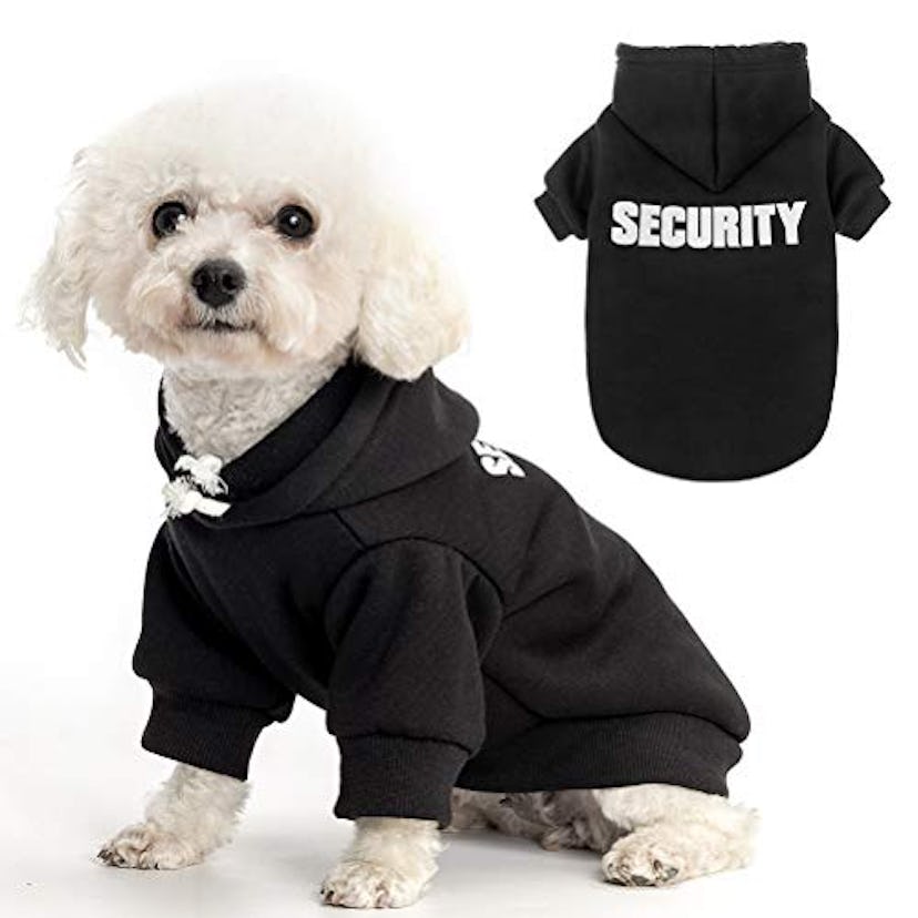 Scenereal Dog Hoddie