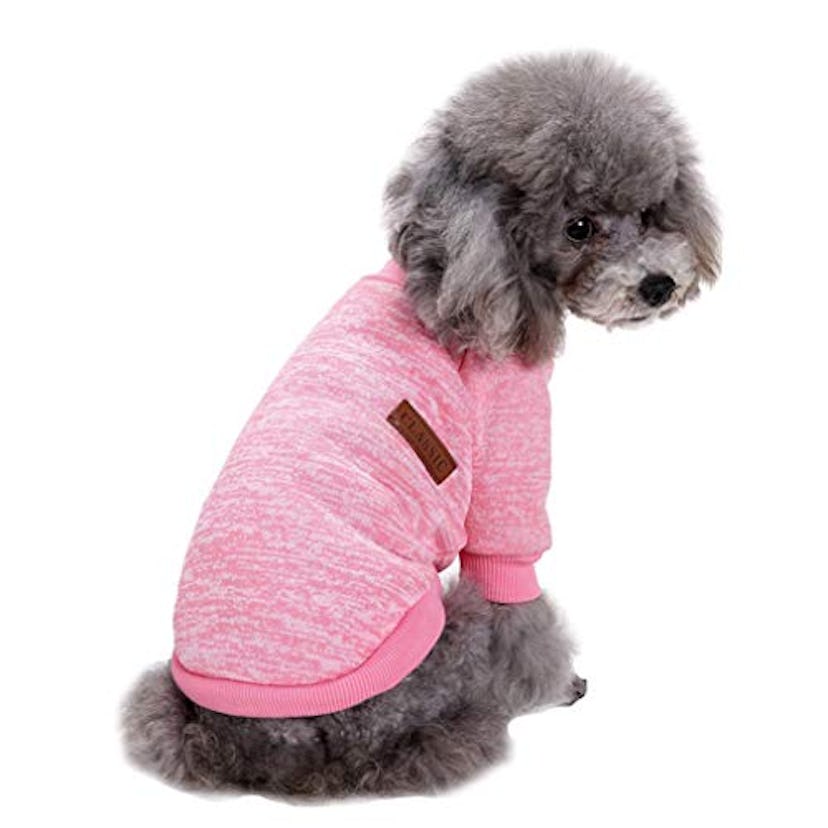 Fashion Focus On Knitwear Dog Sweater