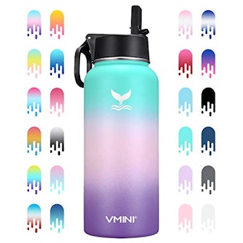 Vmini Insulated Stainless Steel Water Bottle