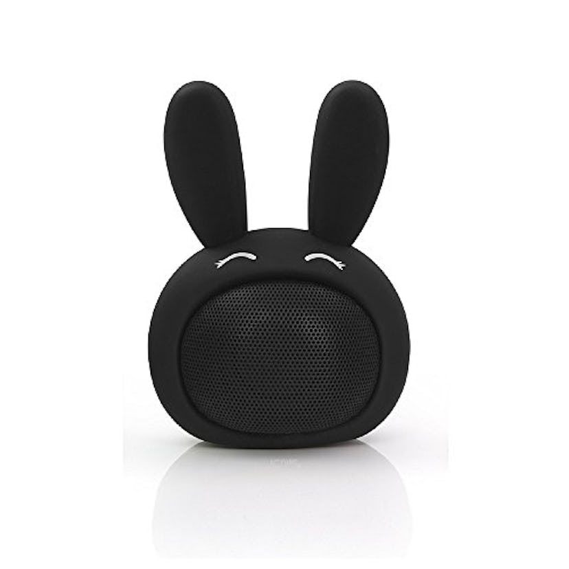 Mini Bluetooth Speaker