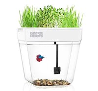 Back to the Roots Water Garden, Self-Cleaning Fish Tank That Grows Food