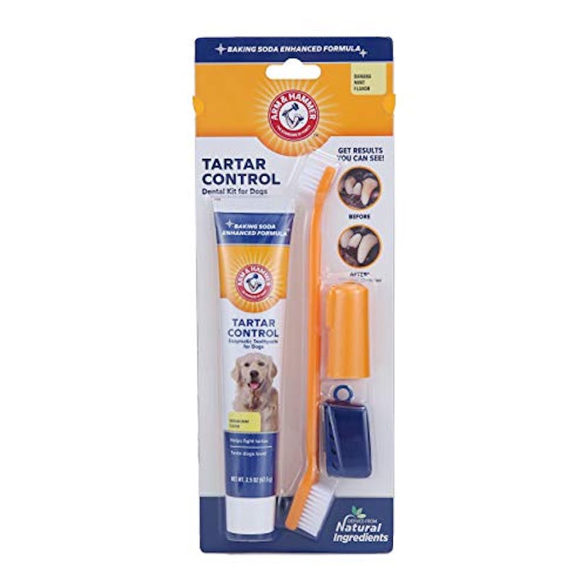 Arm & Hammer Tartar Control Kit