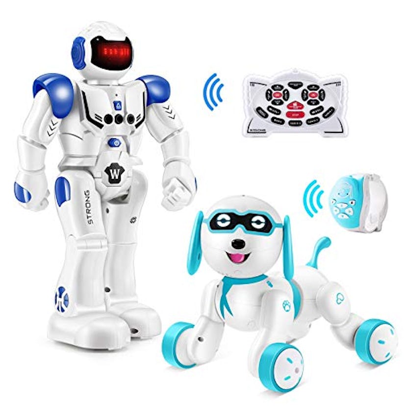 Hamdol Remote Control Robot & Dog