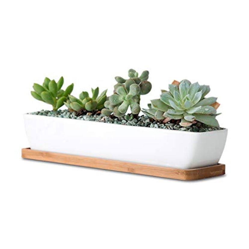 Ceramic Succulent Planter