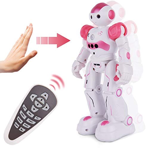 top robot toys