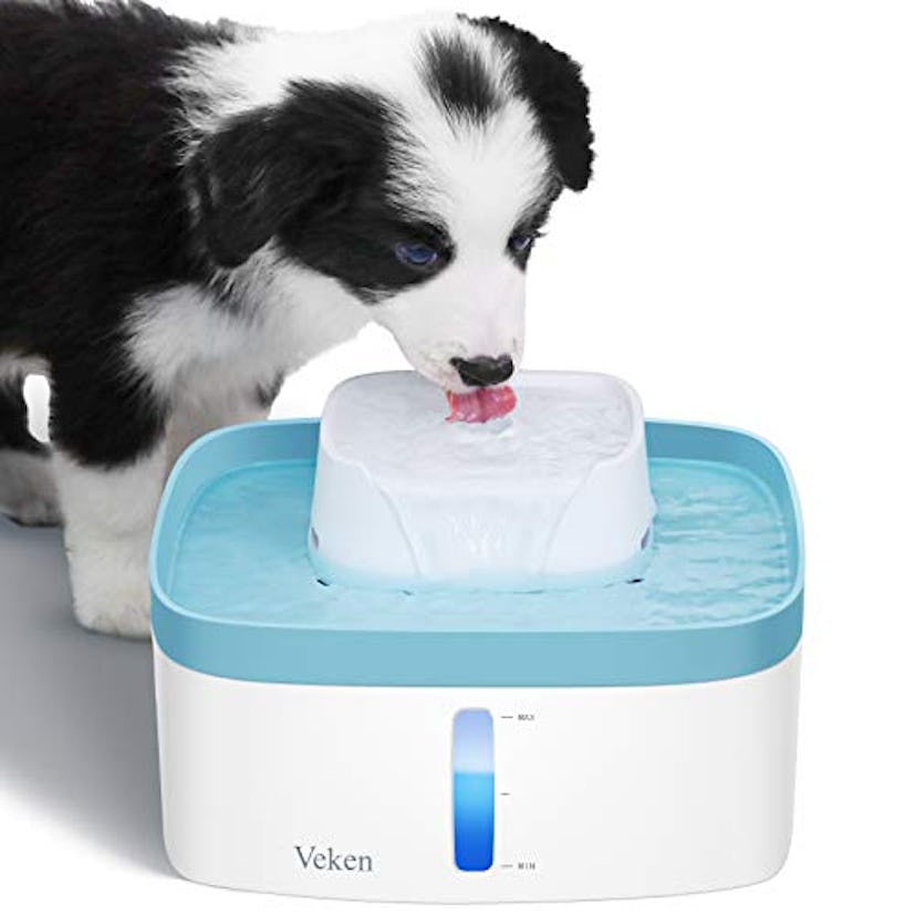 Veken Pet Fountain