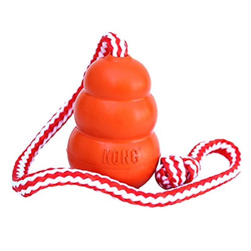 Kong Aqua Floating Fetch Toy