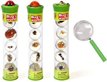 Bug's World Insect Marbles with Magnifying Glass