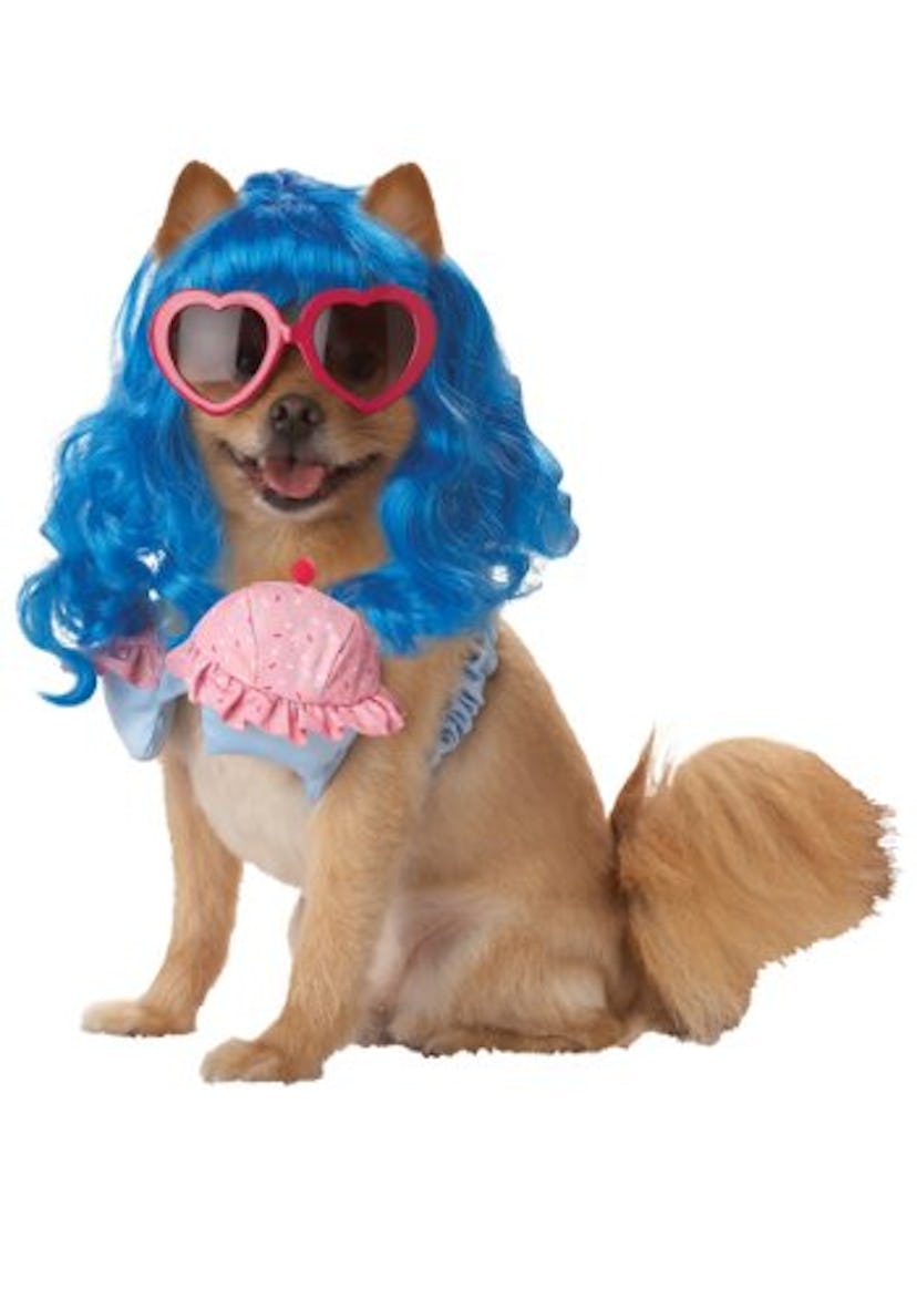 “Katy Perry” Pup-a-Razzi Cupcake Girl Costume