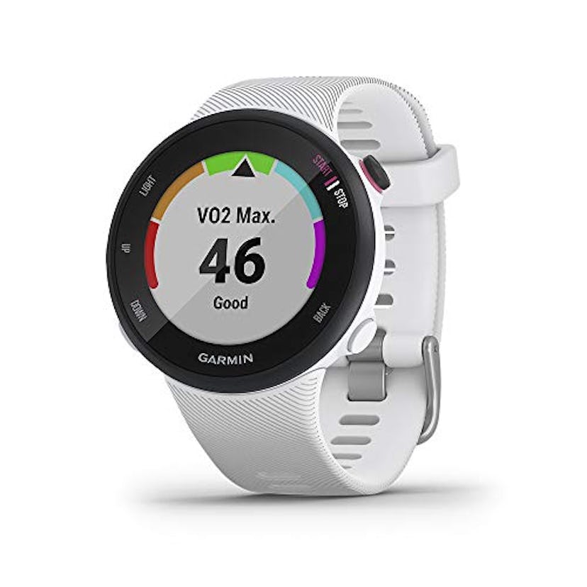 Garmin Forerunner 45S Running Watch