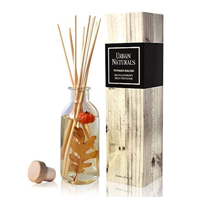 Urban Naturals Pumpkin Brulee Scented Sticks Reed Diffuser Oil Set