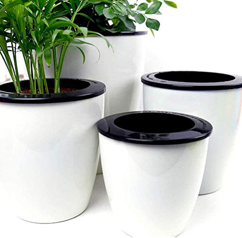 Self-Watering Planters