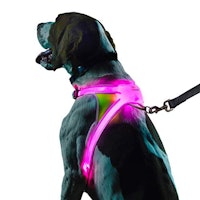 Reflective Harness For Dogs